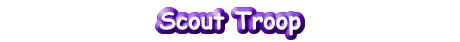 Scout Troop